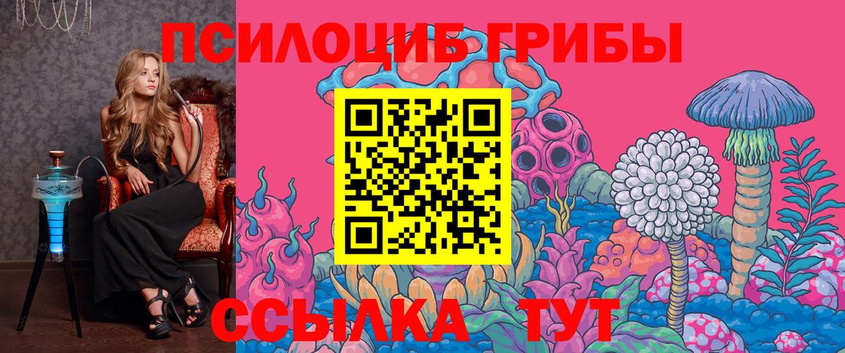 Псилоцибиновые грибы мухоморы Ахтубинск