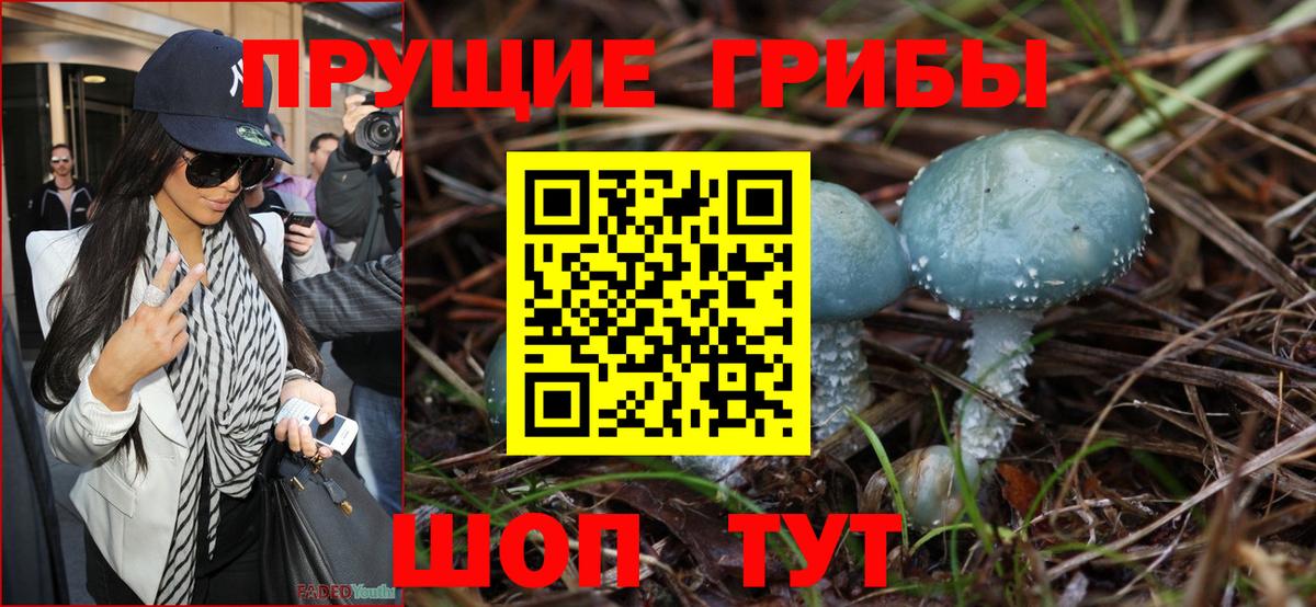 Псилоцибиновые грибы ЛСД  Псилоцибиновые грибы Cubensis  Ахтубинск  Вход с VPN 